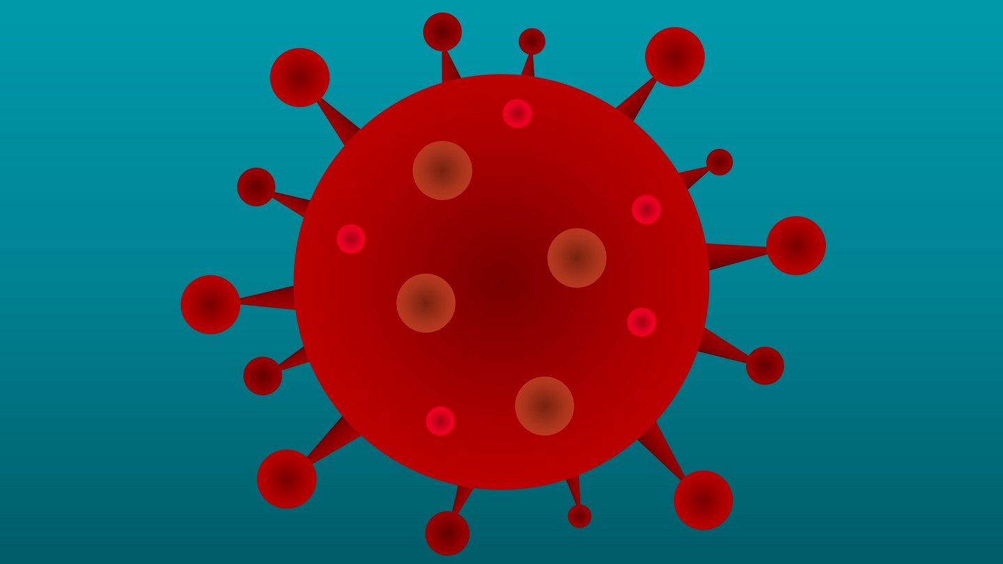 Informationen zum Corona-Virus (SARS-CoV-2)